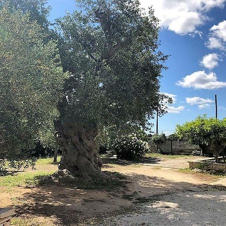 Le Stanze Di Casa Polinisso ξενώνας Carovigno Εξωτερικό φωτογραφία