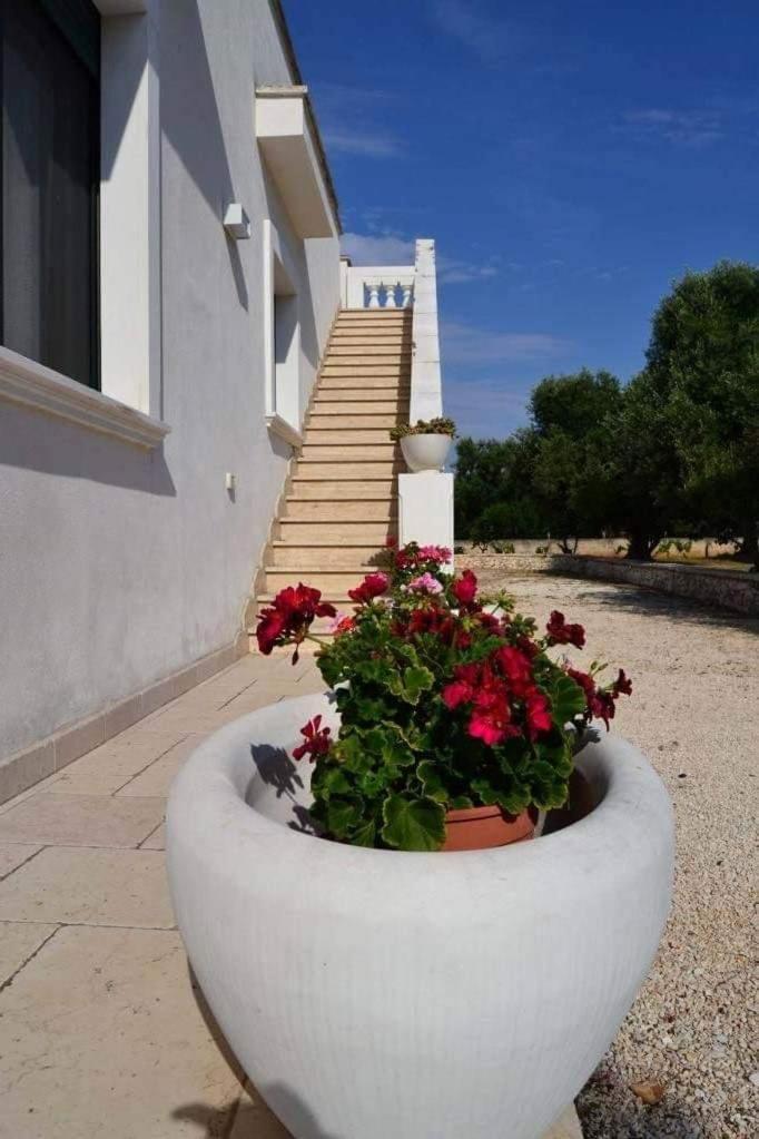 Le Stanze Di Casa Polinisso ξενώνας Carovigno Εξωτερικό φωτογραφία