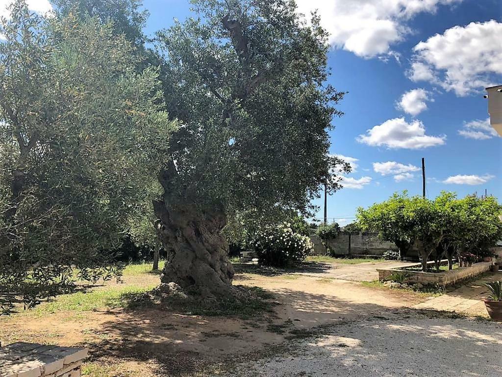 Le Stanze Di Casa Polinisso ξενώνας Carovigno Εξωτερικό φωτογραφία