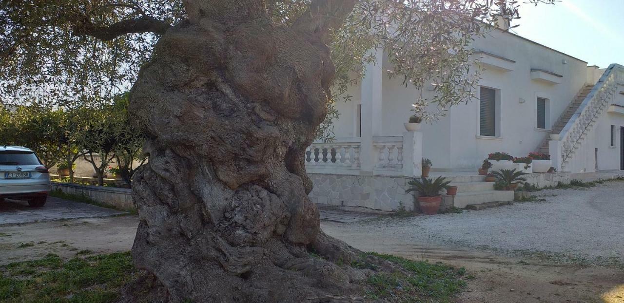 Le Stanze Di Casa Polinisso ξενώνας Carovigno Εξωτερικό φωτογραφία